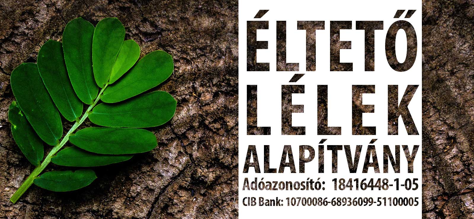 Éltető lélek hero